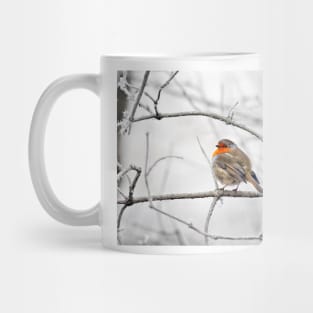 Robin On Frosty Branch Mug